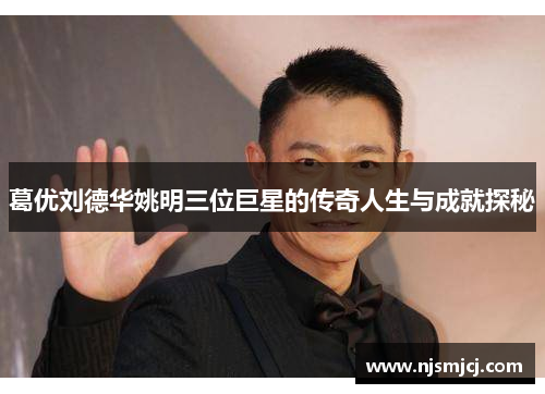 葛优刘德华姚明三位巨星的传奇人生与成就探秘